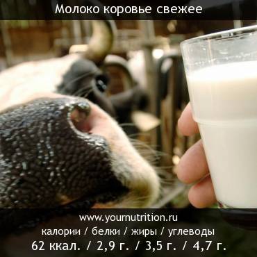 Молоко коровье свежее: калорийность и содержание белков, жиров, углеводов