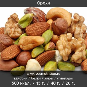 Орехи: калорийность и содержание белков, жиров, углеводов
