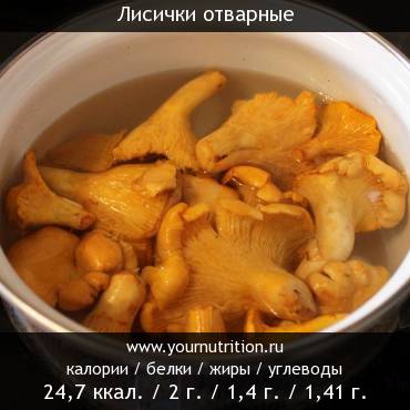 Сколько калорий в грибах лисичках жареных с картошкой
