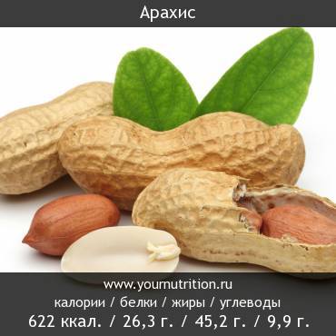 Арахис: калорийность и содержание белков, жиров, углеводов
